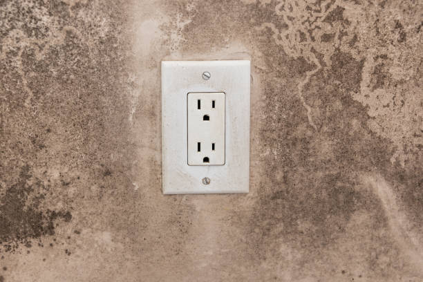 Best Dehumidification Services  in Atascocita, TX